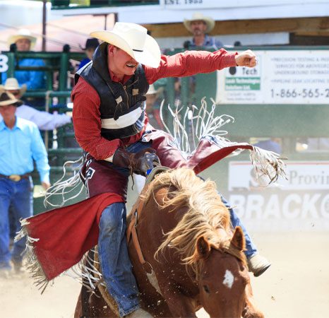 A man riding on the back of a brown horse.